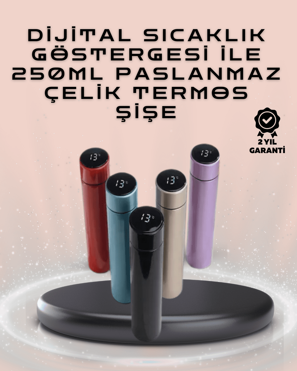 250ml LED Ekranlı Paslanmaz Çelik Akıllı Termos