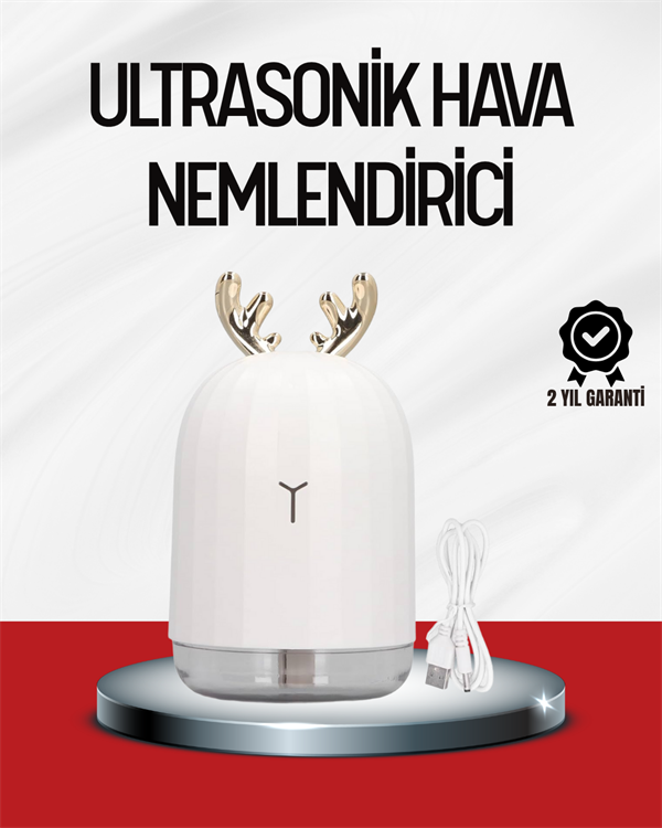 El Tipi USB Mini Soğuk Mist Nemlendirici 220 ml Tank